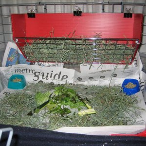 New hay rack and kitchen (cage #3)