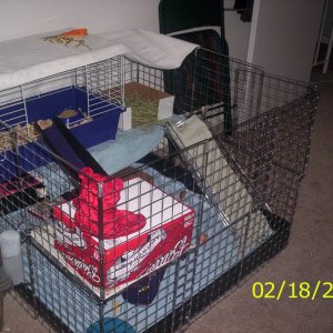 Gina and Semaj's new cage