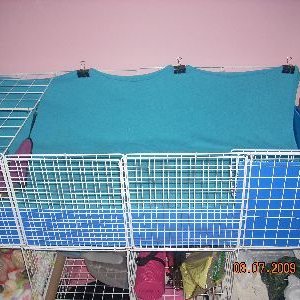 Pup Proofed Cage