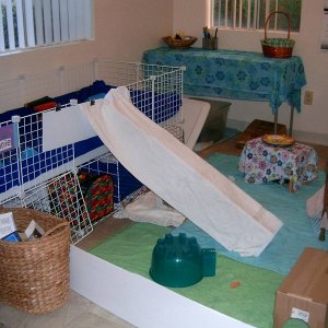 Cage To Floor Ramp