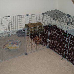 New closed cage