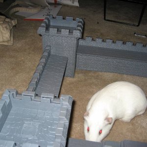 Linus investigating the castle