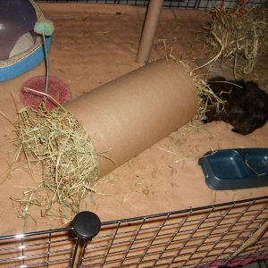 Giant Tube stuffed with hay