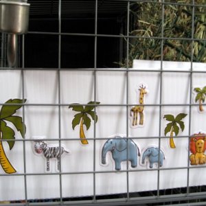 Inexpensive safari theme for cage