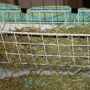 Hay rack out of bent grid & chicken wire