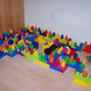 Mega Blok Mazes