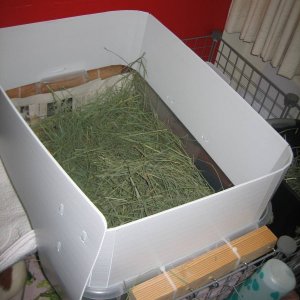 Removable Hay Loft (Top View)