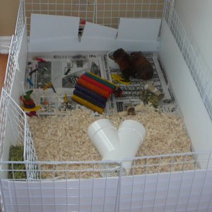 just cleaned my cage