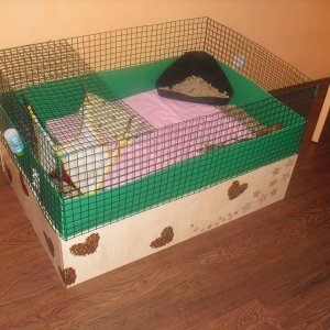 My first self-made cage for Max