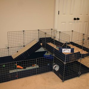 re-designed cage