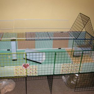 Guinea Cage 2 x 6 cube