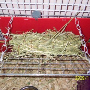 Hay rack - Top