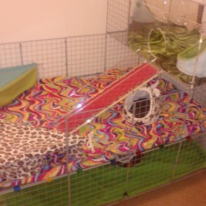 The cage with fleece and hideys