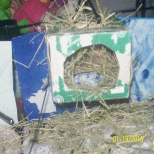 My hay rack