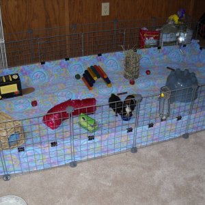 My new C&C cage!