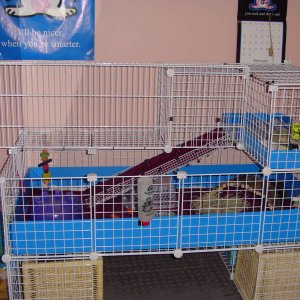 Cage, alternate view
