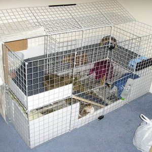 Cage with lid open