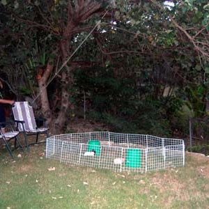 Outdoor open cage