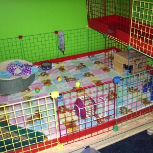 My new cage design