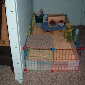Velma and Daphne's Cage