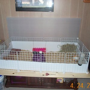 My New Cage!