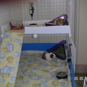 Meimei and Beibei's Apartment