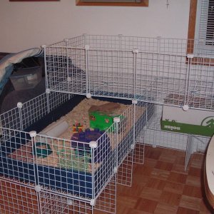 Remodeled cage w/2nd level