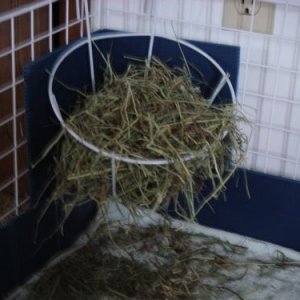 plant holder hay basket