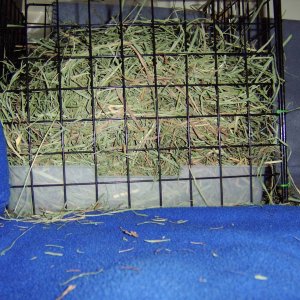 close up of the hay rack