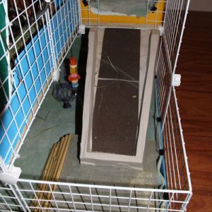 View of ramp and landing area of cage
