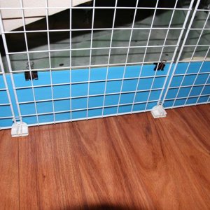 Vinyl flooring for guinea orders pig cage