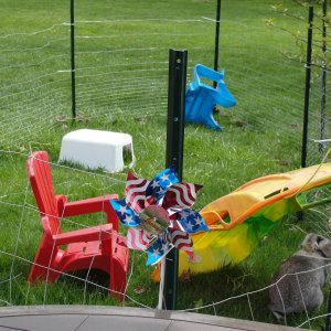 My outdoor play yard for the bunnies