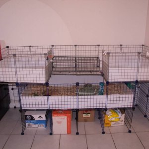 upgraded cage