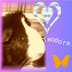 Teodore's beautiful face
