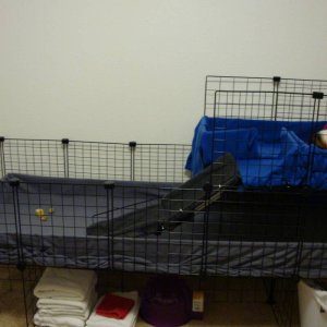 2 Level open 2x5 cage