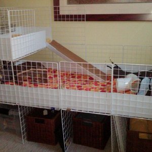 two level c& c cage with storage