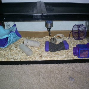 Other hammy cage