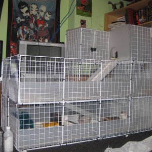 My wonderful cage.