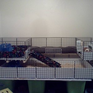 C&C cage 5by2 with 2 decks 2by2 and 1 by