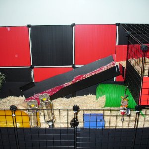 Two story pig plex with coroplast inserts.