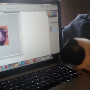 Radley helps me with some Photoshop :)