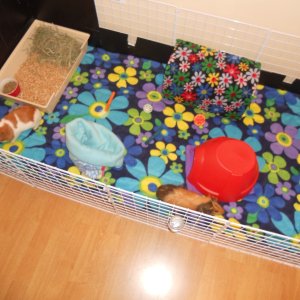 Fleece Liner made by Cavyness