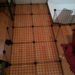 L Shaped Cage with Upper Deck