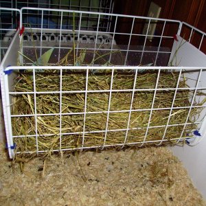 Pea and Snickers new hay rack!!
