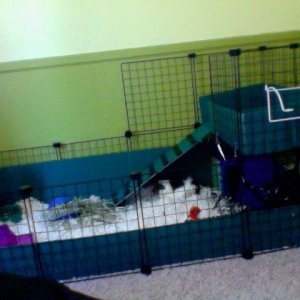 Aby's Cage