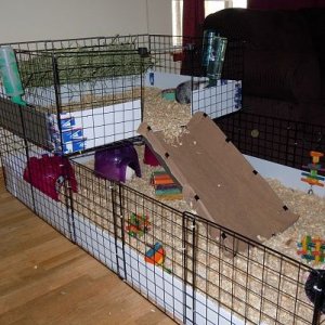 Our Girl's Cage