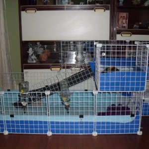 Front view of cage
