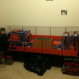 Korra's and Lady's cage