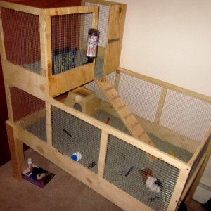 The new cage is finally finished!