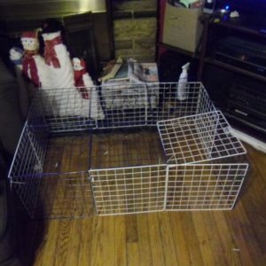 New cage (In process of being built)